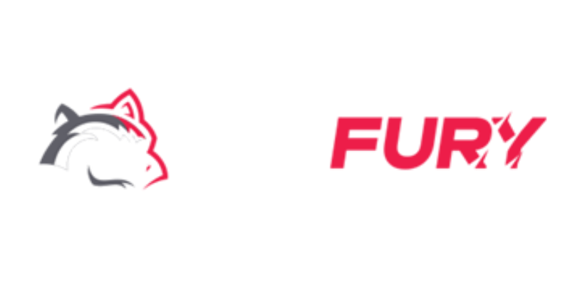 BetFury logo