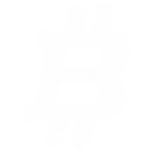 BitFortune